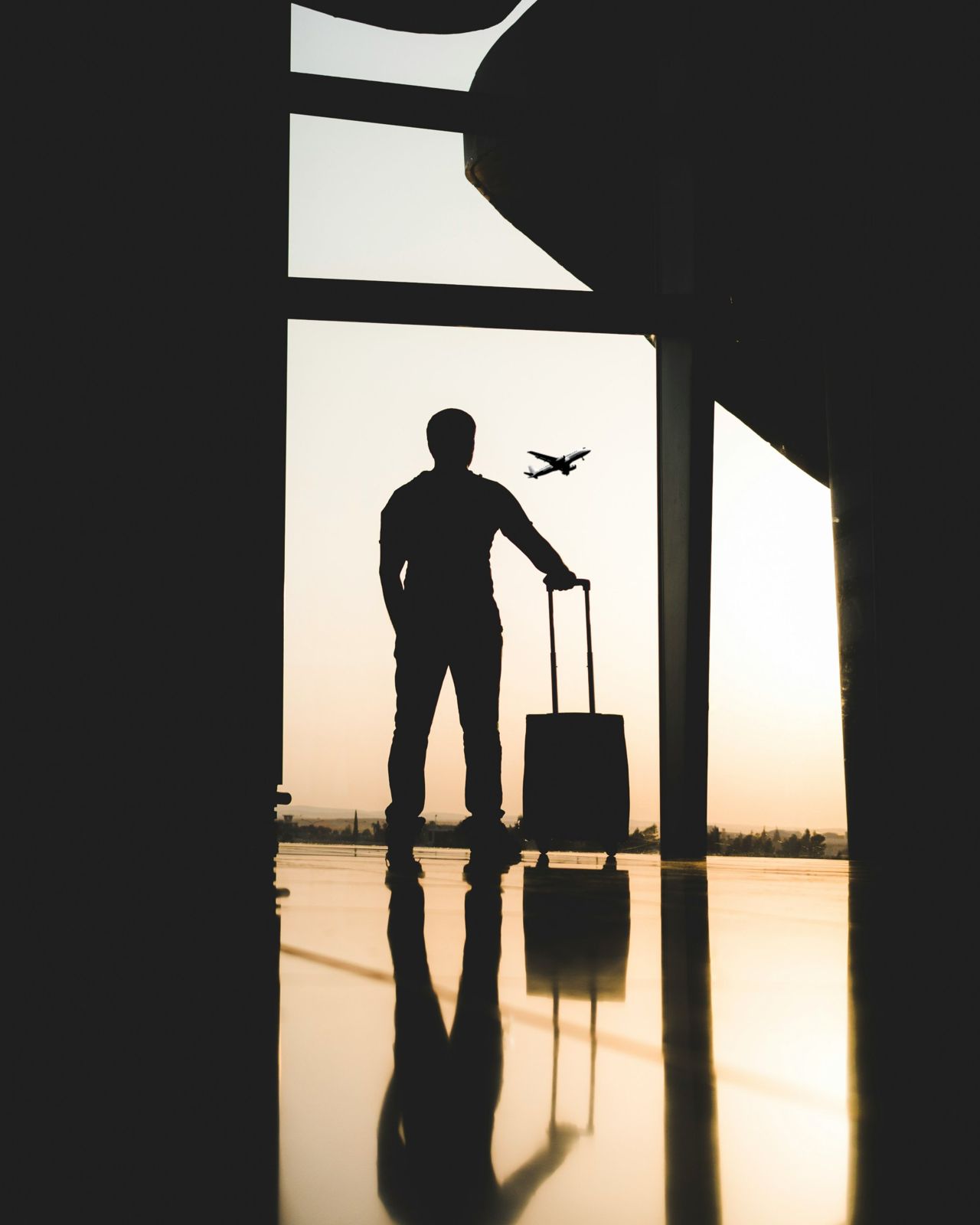 Traveller at the airport